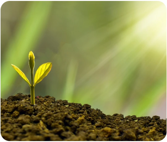 Building your investment portfolio